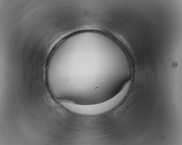 X0000111781268200908131340