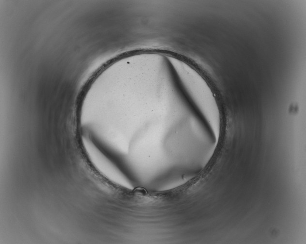 X0000111781270200908131340