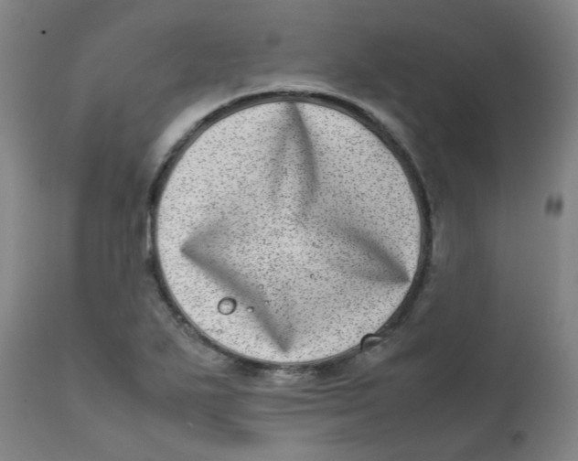 X0000111781271200908131340