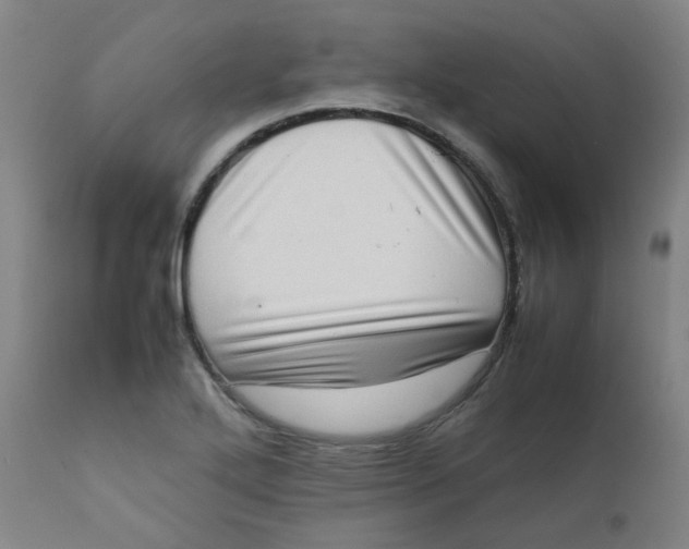 X0000111781272200908131340