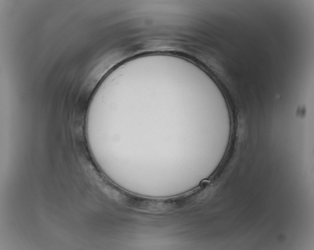 X0000111781273200908131340