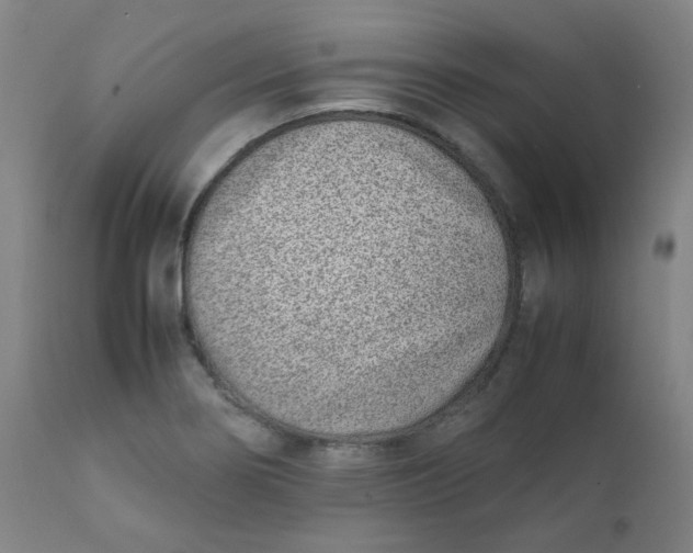 X0000111781274200908131340