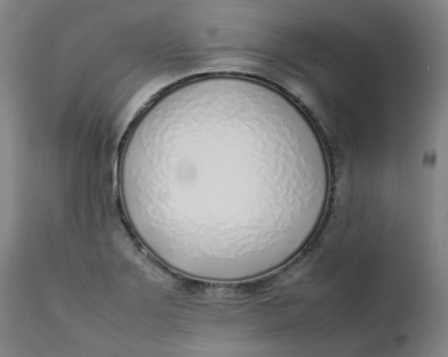 X0000111781275200908131340