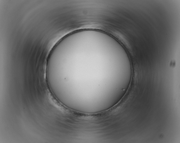 X0000111781276200908131340