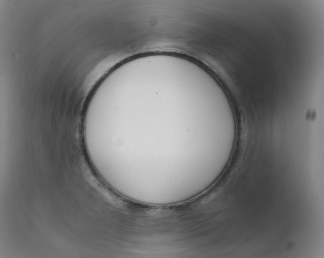 X0000111781277200908131340