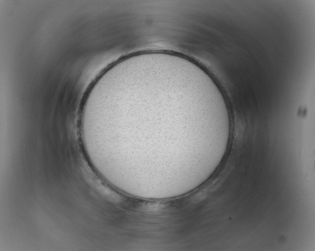 X0000111781278200908131340