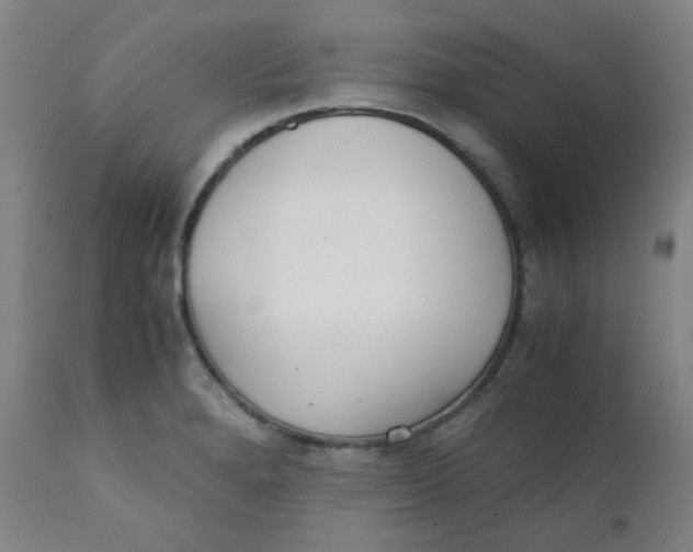 X0000111781280200908131340