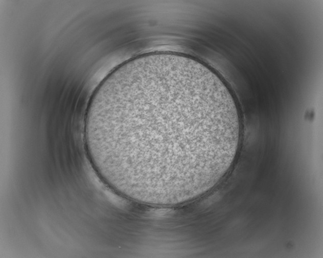 X0000111781282200908131340