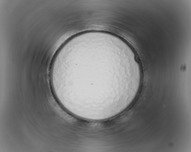 X0000111781283200908131339