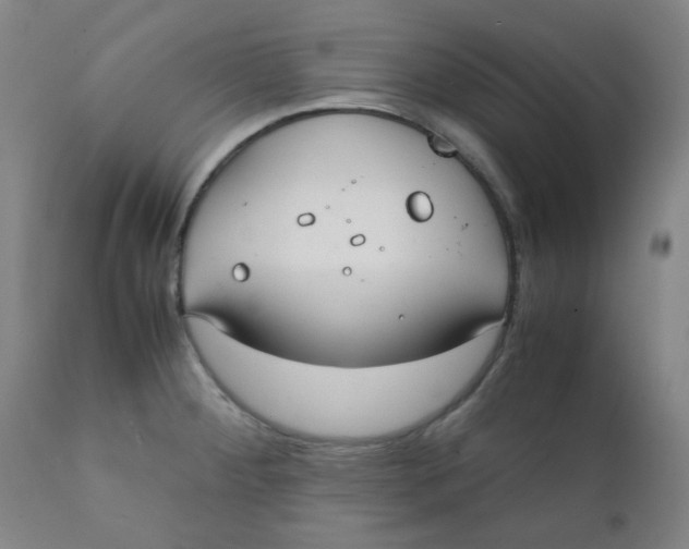X0000111781284200908131339