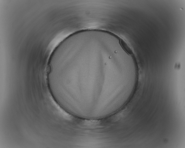 X0000111781285200908131339