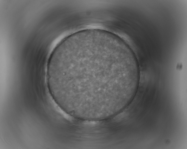 X0000111781286200908131339
