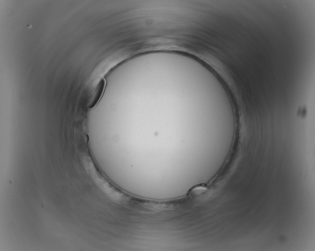 X0000111781289200908131339