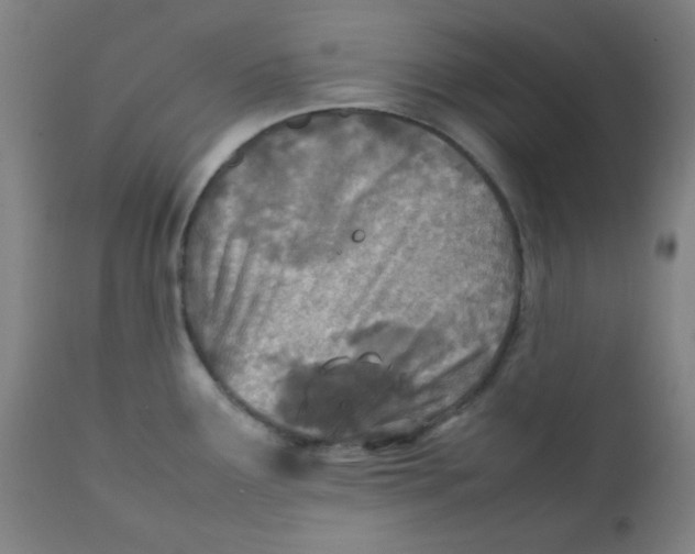 X0000111781291200908131339