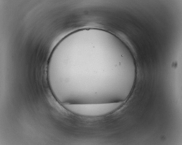 X0000111781292200908131339