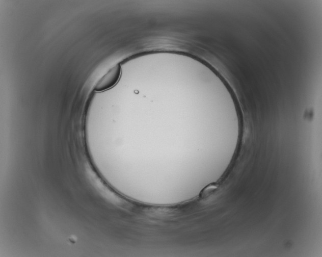 X0000111781293200908131339