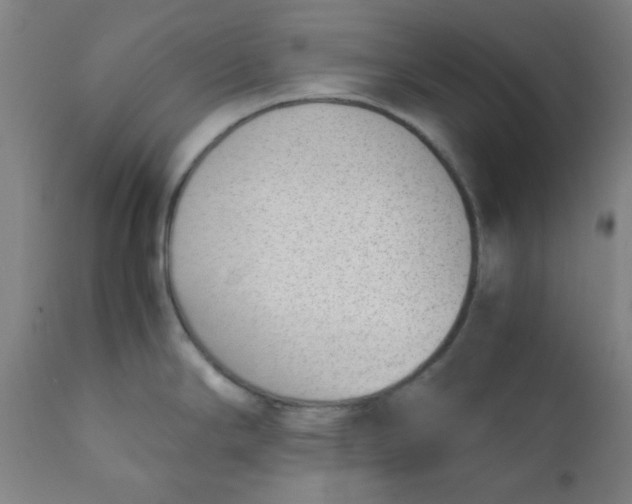 X0000111781294200908131339