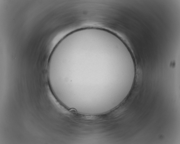 X0000111781295200908131339