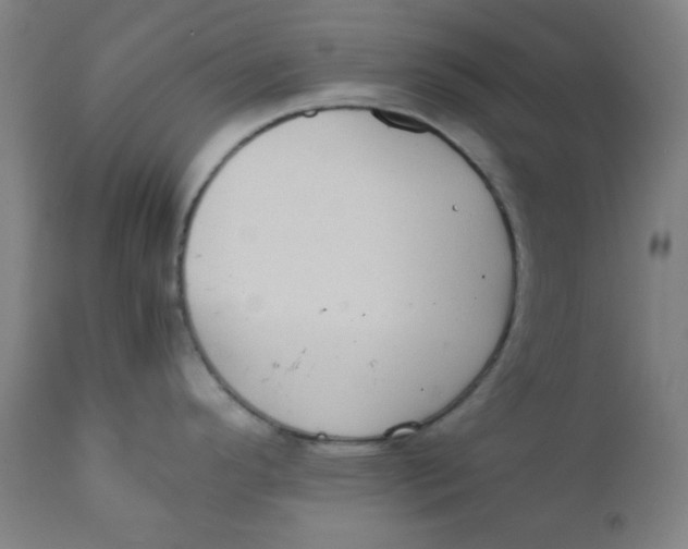 X0000111781296200908131339