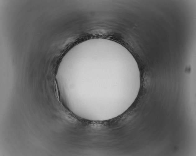 X0000111781297200908131338