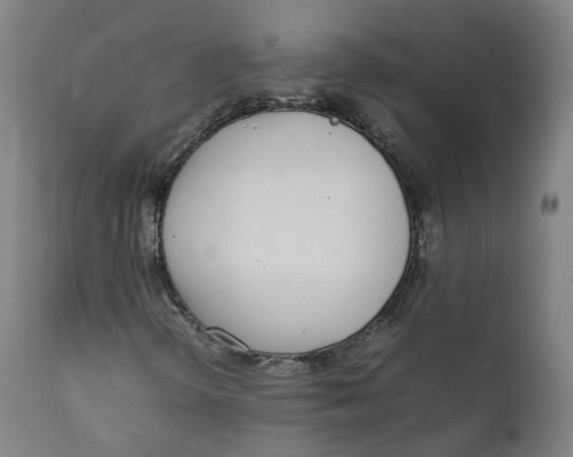 X0000111781298200908131339