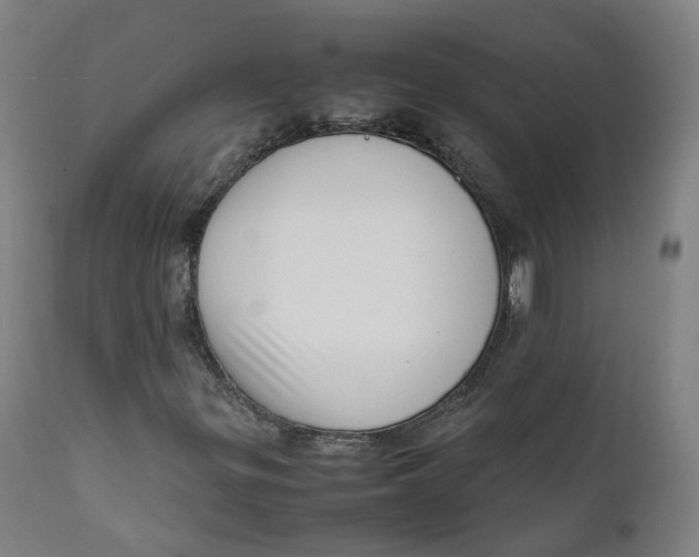 X0000111781299200908131339