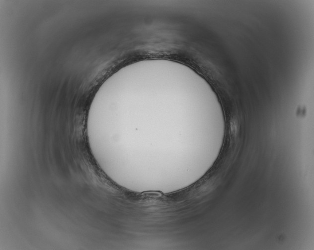 X0000111781300200908131339