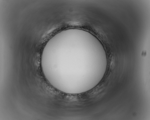 X0000111781301200908131339