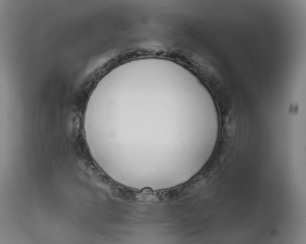 X0000111781302200908131339