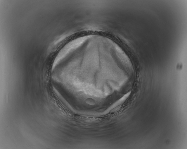 X0000111781303200908131339