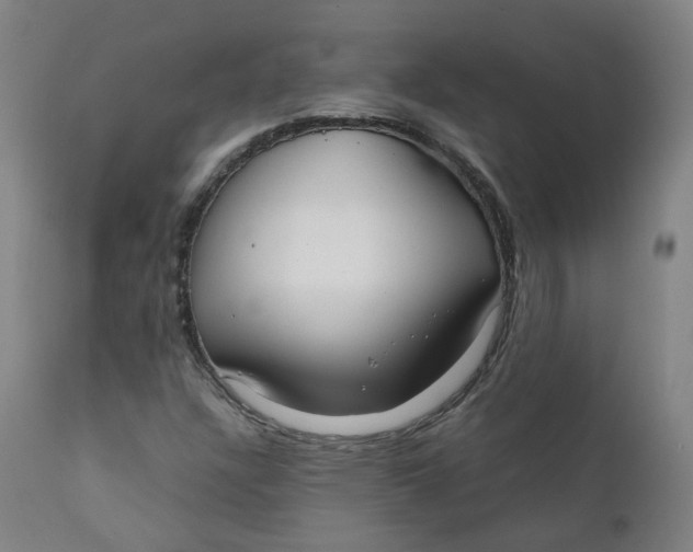 X0000111781304200908131339