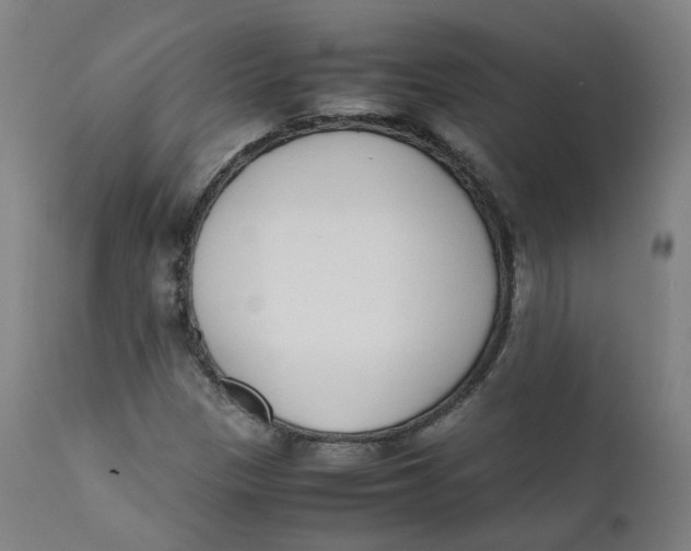X0000111781305200908131339