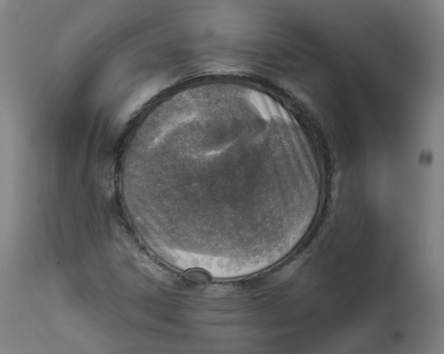 X0000111781306200908131339