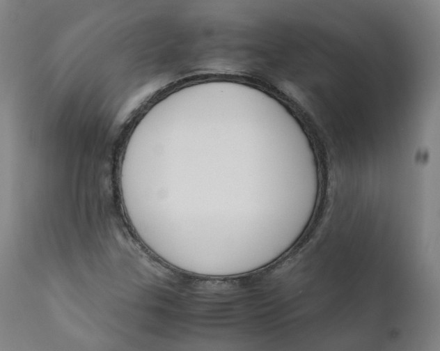 X0000111781307200908131339