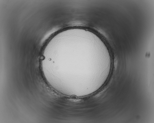 X0000111781309200908131339
