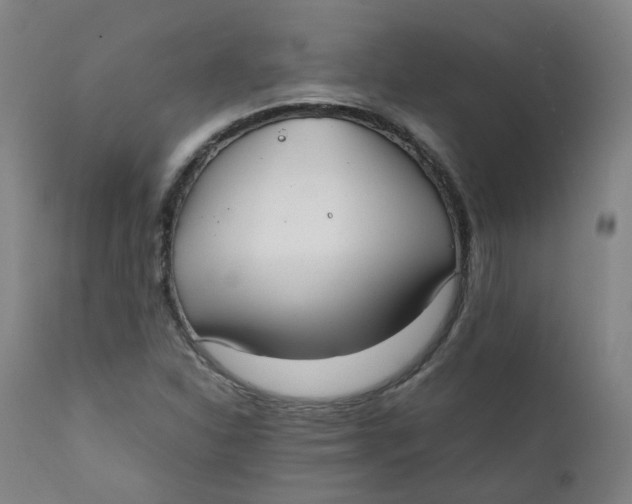X0000111781310200908131339