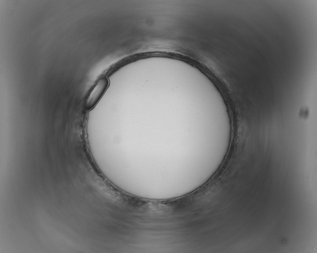 X0000111781312200908131339