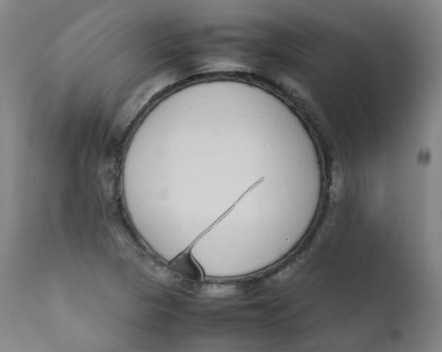 X0000111781313200908131339