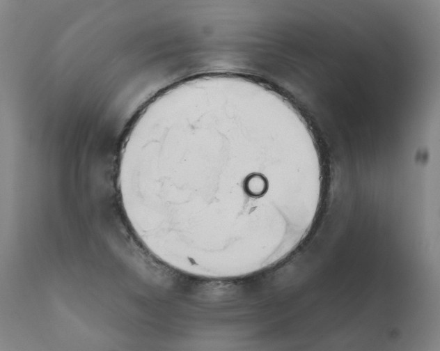 X0000111781314200908131339