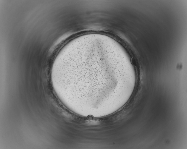 X0000111781315200908131339