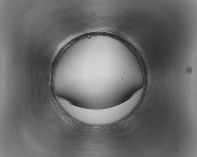 X0000111781316200908131339