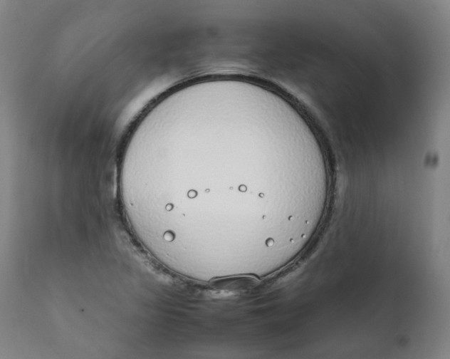 X0000111781317200908131339