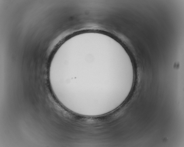 X0000111781318200908131339