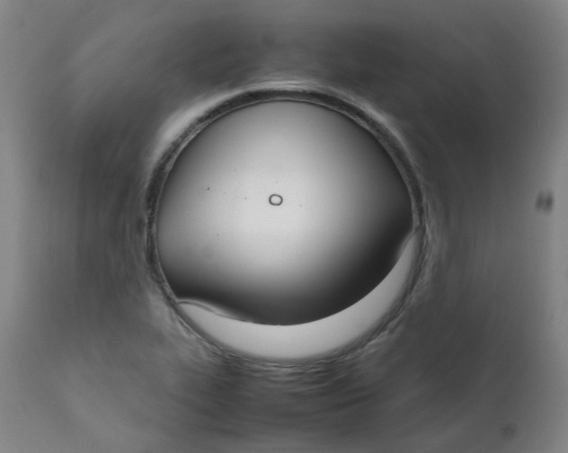 X0000111781319200908131339