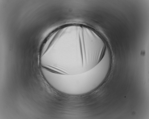 X0000111781320200908131339