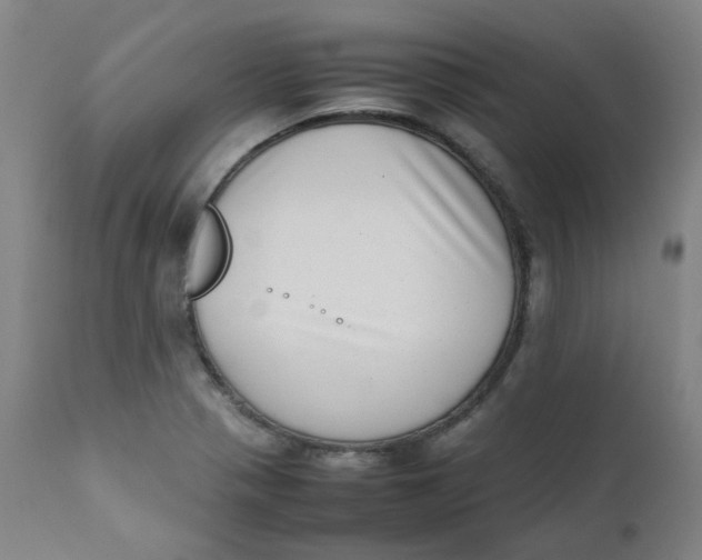 X0000111781321200908131339