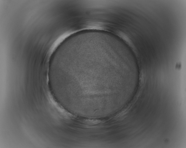 X0000111781323200908131339