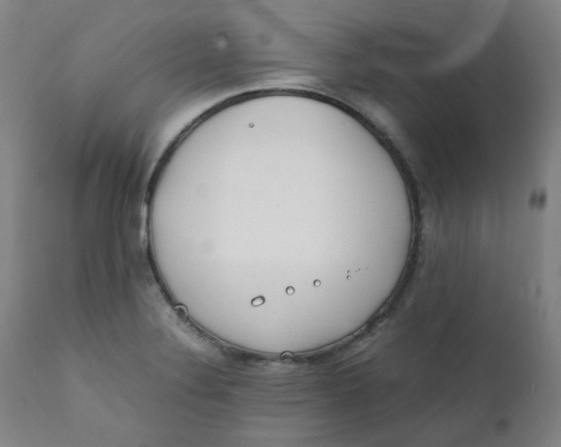X0000111781324200908131339