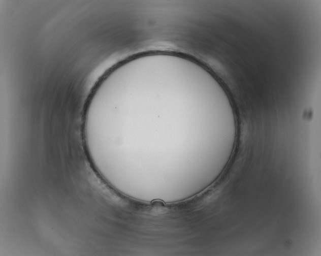 X0000111781326200908131339