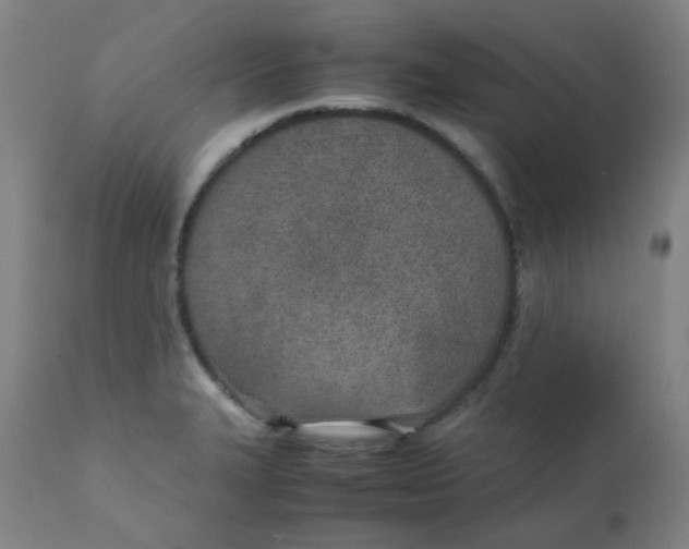 X0000111781327200908131339